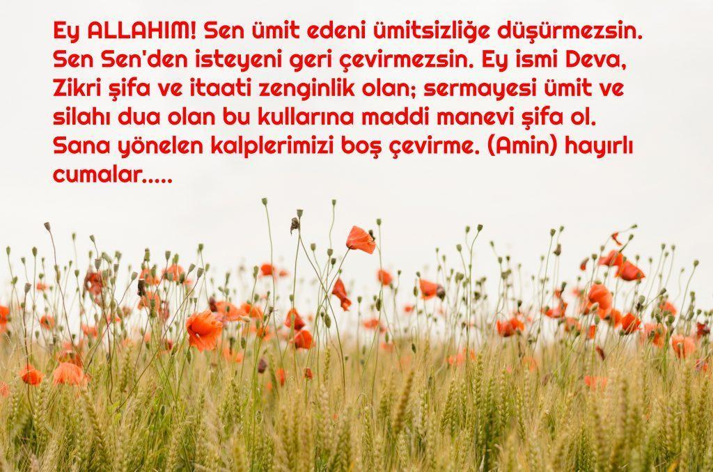 Hayırlı Cumalar