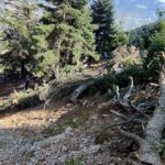 adanada otomobil ucuruma uctu iki olu 1xAE26IH