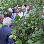 arsin fosa findigi hasadi basladi nLSzg6eq