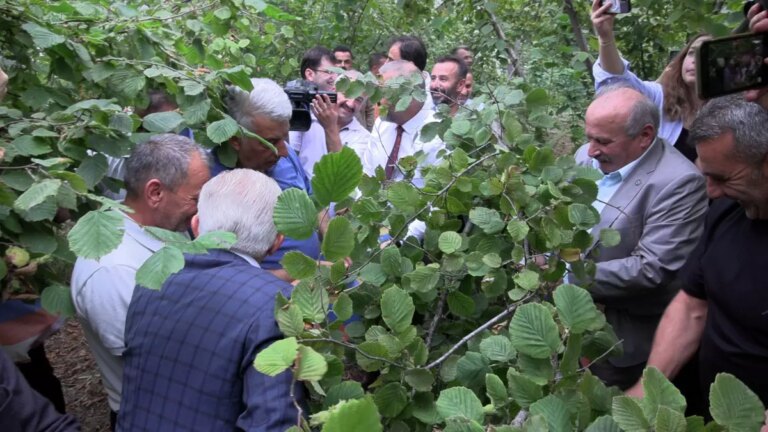 arsin fosa findigi hasadi basladi nLSzg6eq