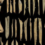 binlerce yil once yasanan barbarlik el mirador magarasinda tuyler urperten kesif yvWZfVaz