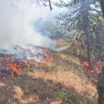 boluda orman yangini basladi GHirIfq1