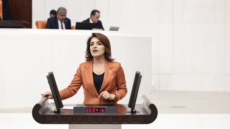 chpli gulcan kis muhalefetin verdigi 1300 kanun teklifi gundeme alinmadi v8twd9Se