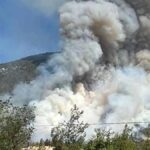 denizlide yangin panigi alevler ormanlik alanda sicradi y3M6dhzN