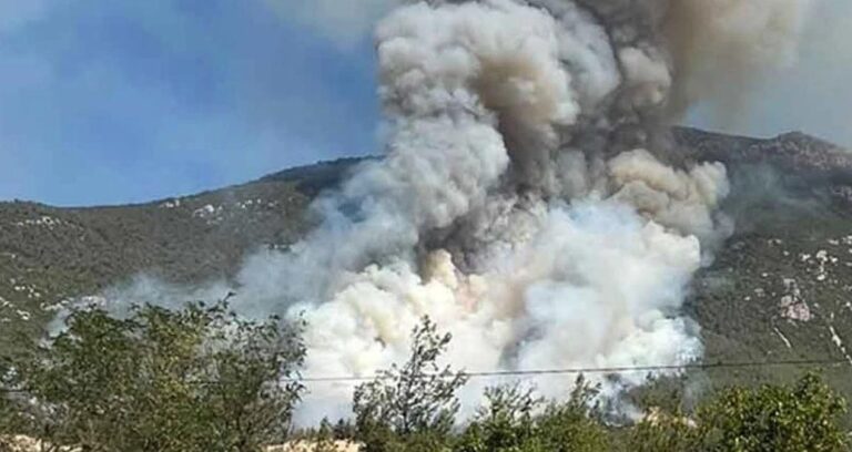 denizlide yangin panigi alevler ormanlik alanda sicradi y3M6dhzN