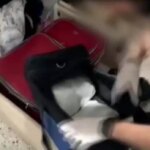 gaziantepte uyusturucu operasyonu 7 kilo skunk ele gecirildi tKgqhCah