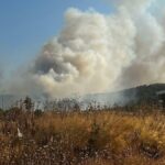 izmirden kotu haber minibuste cikan yangin ormana sicradi 4kULQysu