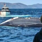 kayip is insani halit yukay olayinda yeni gelisme Y67Lzphm