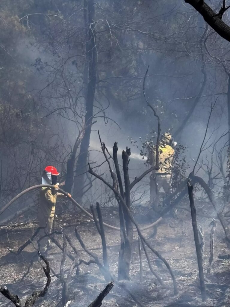 osmaniyede orman yangini kontrol altinda LEAHnPgl