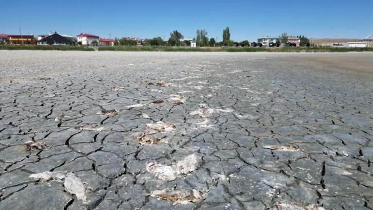 ulas golundeki kuraklik tehlikesi sli7KF8W