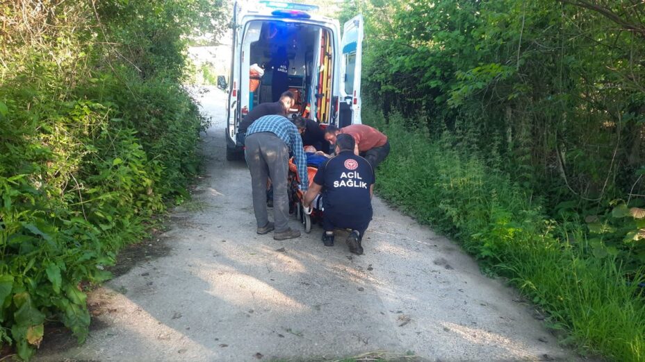 Cide’de Bal Arısı Sokması Olayı: Kadın Hastaneye Sevk Edildi